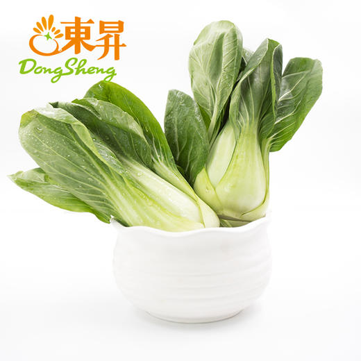 东升农场 上海青 鸡毛菜油菜白菜 广州蔬菜新鲜配送 300g 商品图1