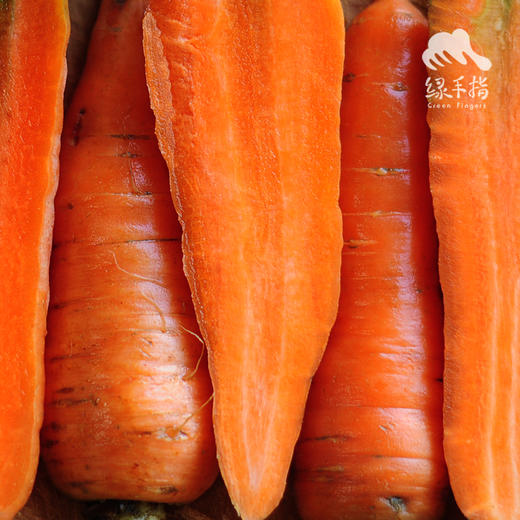 有机胡萝卜 | 合作生产*Organic Carrot | Coproduction 商品图2