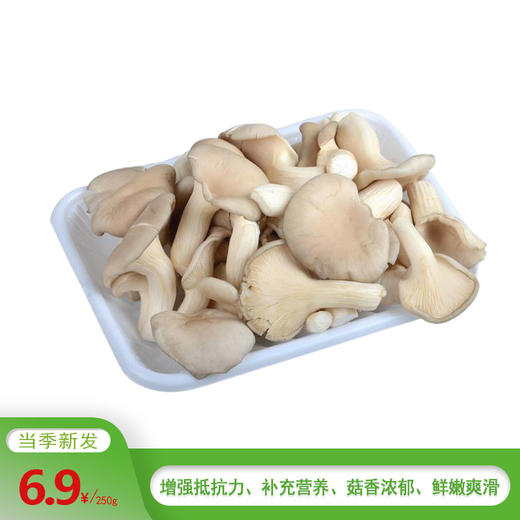 秀珍菇（250g） 商品图0