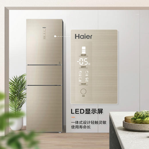 海尔（Haier）冰箱BCD-232WFCO 商品图6