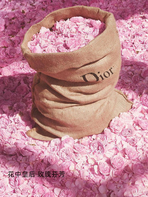 Dior迪奥 Miss Dior迪奥小姐花漾甜心淡香氛女士淡香水 商品图3