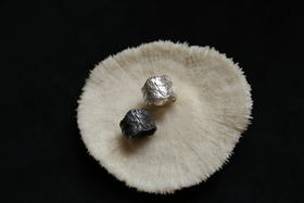 CHEZ BOQUE 覆盖系列原创手工925银戒指《海之羽》