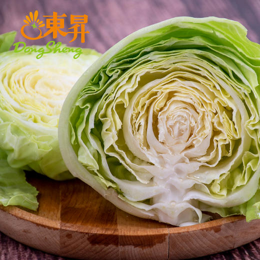 东升农场 青椰菜 卷心包菜球甘蓝圆白菜洋白菜 广州蔬菜 700g 商品图3