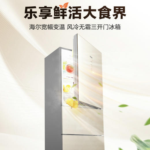 海尔（Haier）冰箱BCD-232WFCO 商品图1