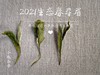 众口皆碑的2021春寿眉升级版，2021有机春寿眉（1斤收藏装） 商品缩略图5