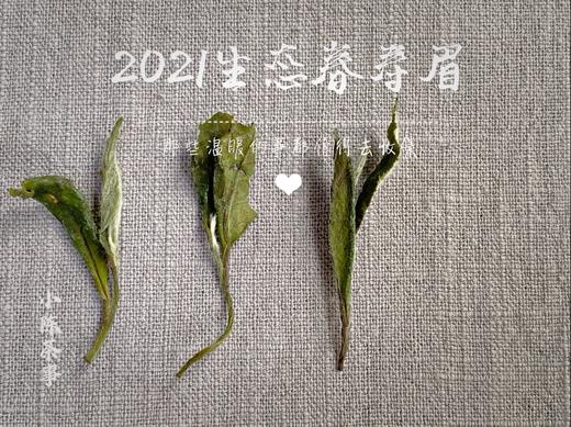 众口皆碑的2021春寿眉升级版，2021有机春寿眉（1斤收藏装） 商品图5