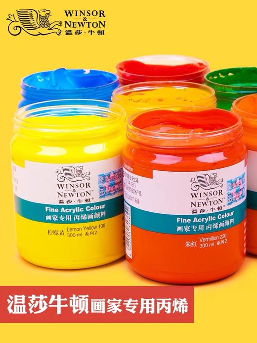 温莎牛顿画家专用丙烯颜料300ml 商品图0