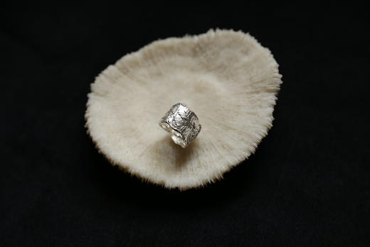 CHEZ BOQUE 覆盖系列原创手工925银戒指《海之羽》 商品图2