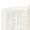 【中商原版】风之又三郎 文豪野犬封面 日文原版 風の又三郎 宫泽贤治童话名作 商品缩略图3