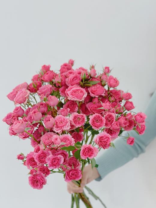 【周围团购】苏菲亚泡泡8枝59.8元 2人拼团 商品图0