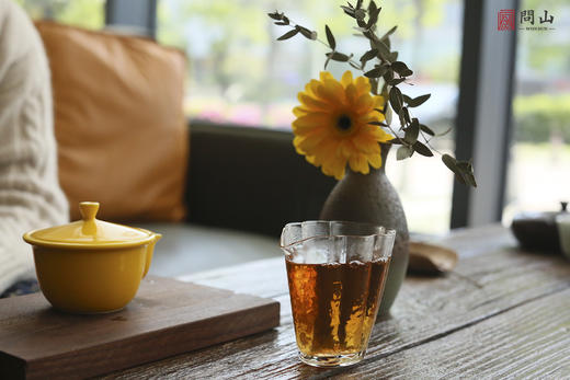 早春二月 · 2009年普洱饼茶生普 | 问山严选 商品图3