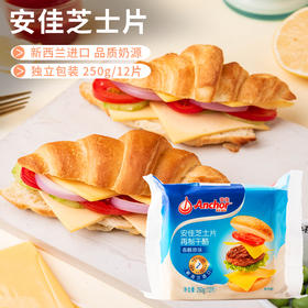 安佳芝士片 奶酪片原味乳酪干酪 汉堡三明治奶酪棒早餐材料250g/12片