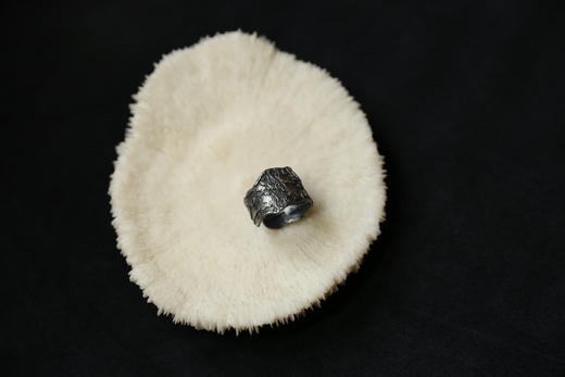 CHEZ BOQUE 覆盖系列原创手工925银戒指《海之羽》 商品图3