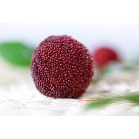 有机仙居杨梅2.8斤真空装 一级（17-21g/枚）