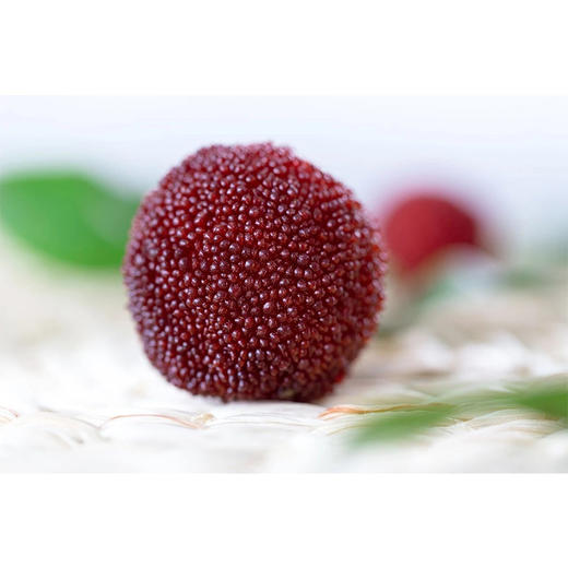 有机仙居杨梅2.8斤真空装 一级（17-21g/枚） 商品图0