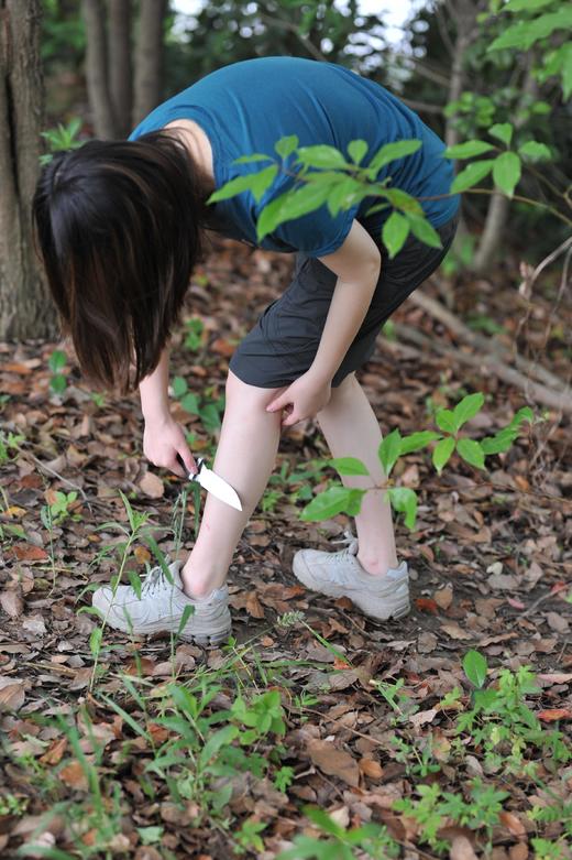 （80元一件清仓）Kathmandu速干短裤男款 商品图1