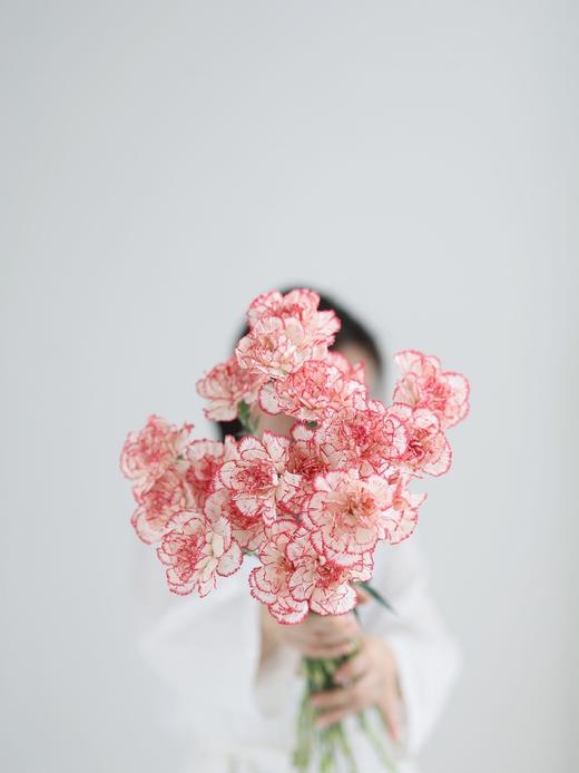 【周四团购】花边康乃馨15枝49.8元 2人拼团 商品图4