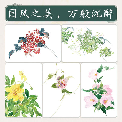 诗经植物水彩绘 古风水彩植物插画教程 商品图2