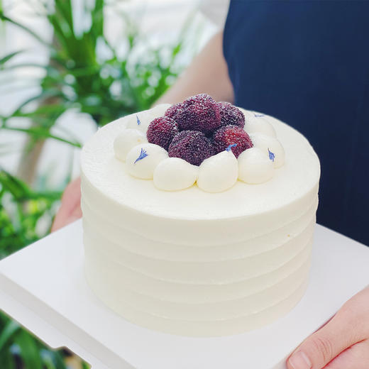 夏日限定  满满果粒 杨梅乳酸菌 · 奶油蛋糕 商品图1