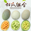 吉祥三宝 玉菇甜瓜 西州蜜 玫珑网纹甜瓜 甜瓜三拼 尽享各种美味 商品缩略图0