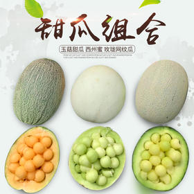 吉祥三宝 玉菇甜瓜 西州蜜 玫珑网纹甜瓜 甜瓜三拼 尽享各种美味