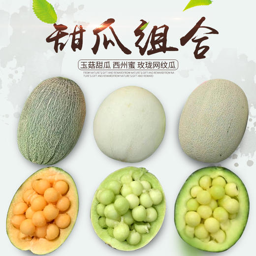 吉祥三宝 玉菇甜瓜 西州蜜 玫珑网纹甜瓜 甜瓜三拼 尽享各种美味 商品图0