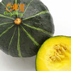 东升农场  青南瓜 万圣节南瓜灯 广州蔬菜配送 1000g 商品缩略图3