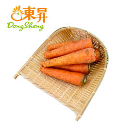 东升农场 有机胡萝卜 红萝卜胡芦菔 广州供港新鲜蔬菜配送 400g