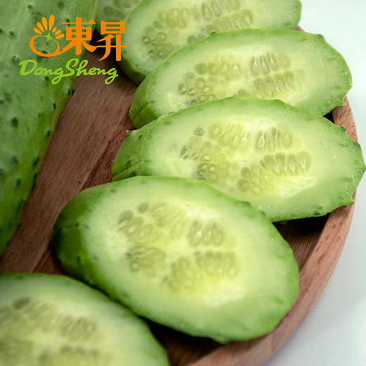 东升农场 旱黄瓜 秋黄瓜 青菜胡瓜 广州蔬菜新鲜配送 400g 商品图1