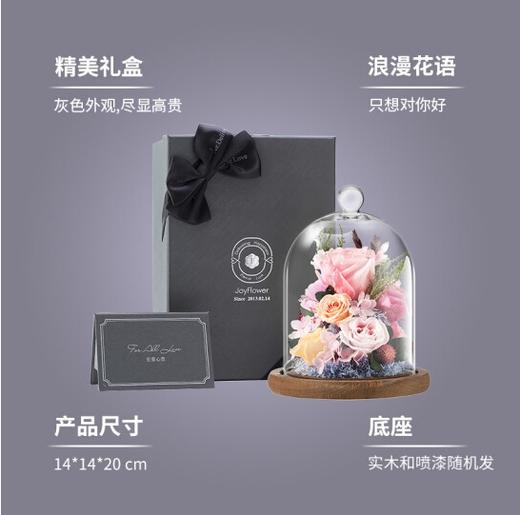 【520情人节】JoyFlower永生花玻璃罩礼盒鲜花康乃馨玫瑰花束 商品图3