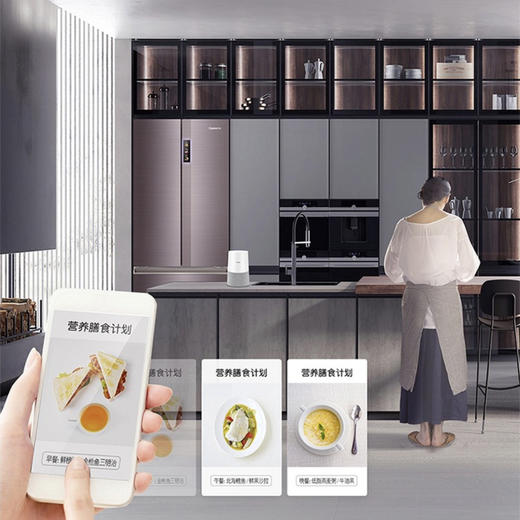 卡萨帝（Casarte）冰箱BCD-500WDCTU1 商品图11