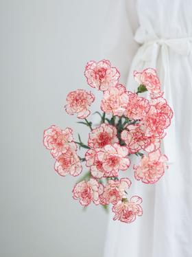 【周四团购】花边康乃馨15枝49.8元 2人拼团