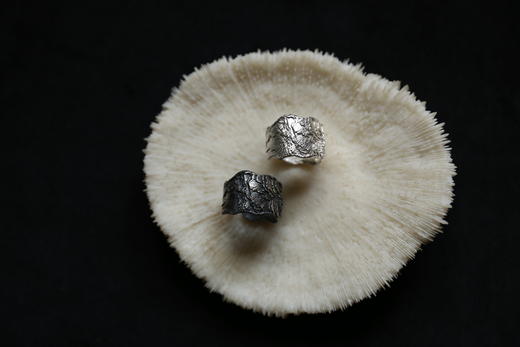 CHEZ BOQUE 覆盖系列原创手工925银戒指《海之羽》 商品图1