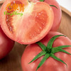 东升农场 粉番茄  粉西红柿 广州蔬菜新鲜配送 500g 商品缩略图3