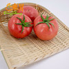 东升农场 粉番茄  粉西红柿 广州蔬菜新鲜配送 500g 商品缩略图4