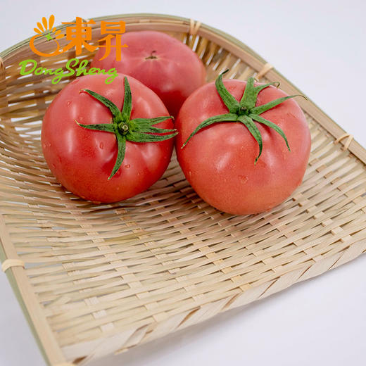 东升农场 粉番茄  粉西红柿 广州蔬菜新鲜配送 500g 商品图4