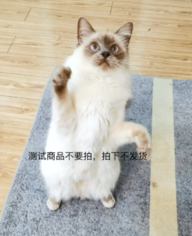 hwy测试分销商品