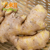 东升农场  生姜 黄姜 老姜 土姜 广州蔬菜新鲜配送 250g 商品缩略图2
