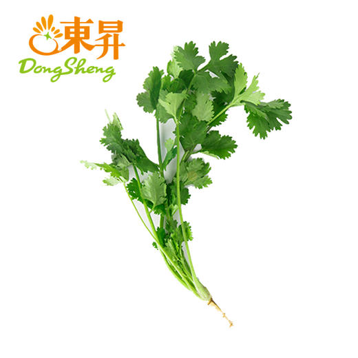 东升农场  香菜 芫茜 广州蔬菜新鲜配送 50g 商品图1