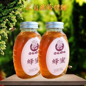 众天 秦岭百花蜂蜜380克