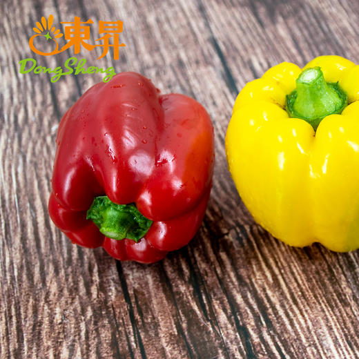 东升农场   彩椒 沙拉圆椒红黄灯笼椒甜辣椒 广州蔬菜配送 400g 商品图1