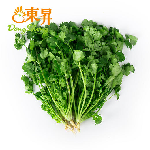 东升农场  香菜 芫茜 广州蔬菜新鲜配送 50g 商品图2
