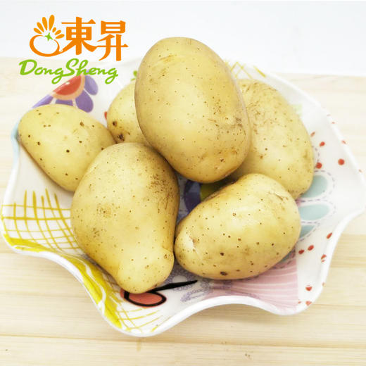 东升农场  迷你薯仔小土豆 小马铃薯 广州蔬菜新鲜配送 300g 商品图3