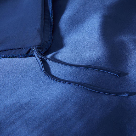 【皇锦】印花被套三件套-兰兮 商品图4