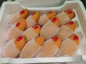 水仙芒一箱十斤装