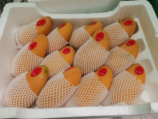 水仙芒一箱十斤装 商品图0