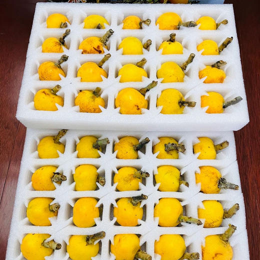 东山白玉枇杷 新鲜直采 商品图5