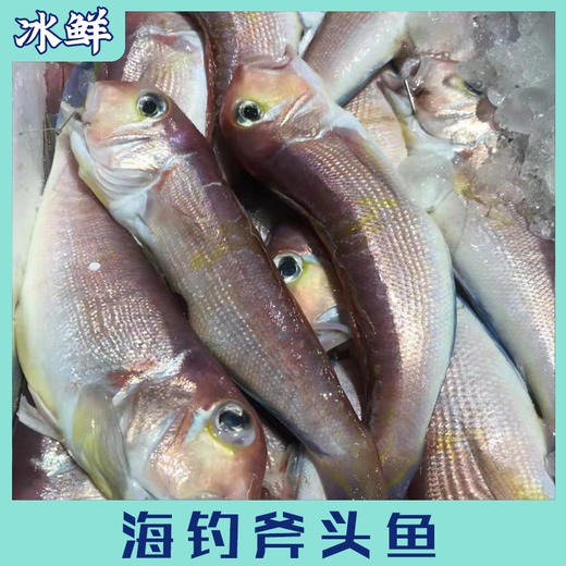 东海斧头鱼 商品图3