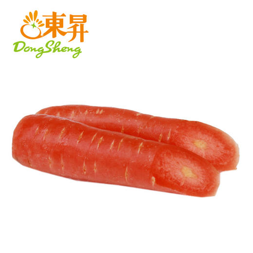 东升农场   水果胡萝卜红萝卜 甜脆榨汁 广州蔬菜新鲜配送 500g 商品图3