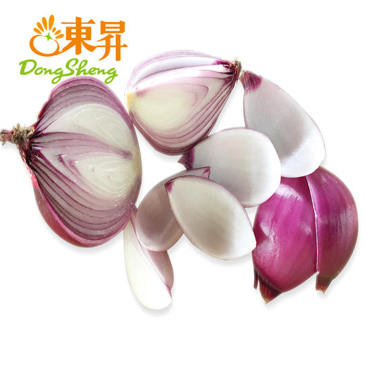 东升农场 红洋葱 紫洋葱洋葱头圆葱 广州蔬菜新鲜配送 500g 商品图2